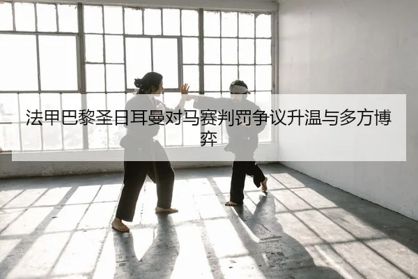 fa-jia-ba-li-sheng-ri-er-man-dui-ma-sai-pan-fa-zheng-yi-sheng-wen-yu-duo-fang-bo-yi-2-616.jpg
